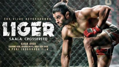 స్టడీగా హిందీ లైగర్ కలెక్షన్స్... బ్రేక్ ఈవెన్ కి చేరువలో!