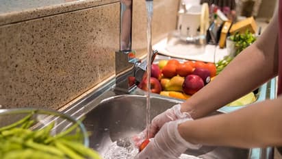 रोज की झंझट से बचने के लिए महिला ने बनाए 426 डिश, 8 महीनों तक नहीं बनाना पड़ेगा खाना