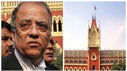 'সমান গুরুত্ব দেওয়া হচ্ছে না সব মামলাকে', একটি বিশেষ বেঞ্চের বিরুদ্ধে প্রধান বিচারপতির দ্বারস্থ আইনজীবী অরুণাভ