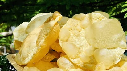 ഹോട്ടലിൽ പപ്പടം കാച്ചുന്നതിനിടെ പെട്ടന്ന് തീ ആളിക്കത്തി; ജീവനക്കാരുടെ ഇടപെടൽ, വൻ അപകടം ഒഴിവായത് തലനാരിഴക്ക്