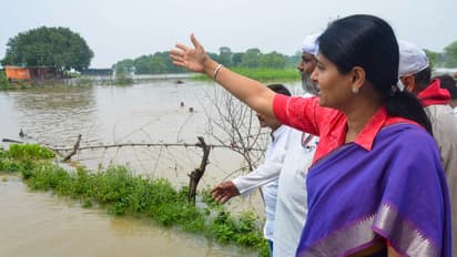 Monsoon in India: इस हफ्ते उत्तर-पश्चिम भारत में मानसून कमजोर रहेगा, कुछ राज्यों में हो सकती है भारी बारिश