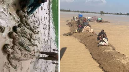 पाकिस्तान ने पिछले 10 सालों में नहीं देखा बाढ़ का ऐसा खौफनाक मंजर, मिनिस्टर ने मानसून को 'Monster'  बताया