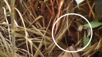 പുറംലോകവുമായി ഒരു ബന്ധവുമില്ല, ആ ഗോത്ര വിഭാഗത്തിലെ അവസാനത്തെ മനുഷ്യനും മരിച്ചു