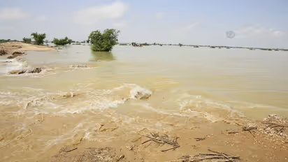 Bengaluru Rains: Netizens pour in with memes as incessant rains continue to flood roads