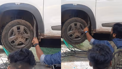 കാറിന്റെ ബോണറ്റില് തലപൊക്കി, മണിക്കൂറുകൾ ശ്രമിച്ചിട്ടും പിടി തരാതെ പെരുമ്പാമ്പ്, പുറത്തെടുത്തപ്പോൾ കുഞ്ഞൻ