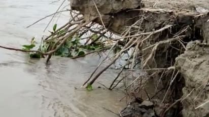আগ্রাসী নদী ভাঙন 'গিলে খেল' ১০ মাসের শিশু সন্তানকে, কশী নদীর তীর জুড়ে শুধুই হাহাকার