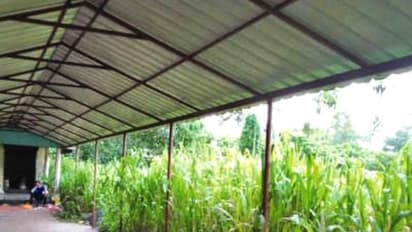  മൃതദേഹം വയ്ക്കുന്ന ഗ്രില്ല് പോലും കണ്ടെത്തിയത് ആക്രിക്കടയിൽ, സംസ്കാരം പുറത്ത്, കായംകുളം ശ്മശാനം കാട് കയ്യേറി