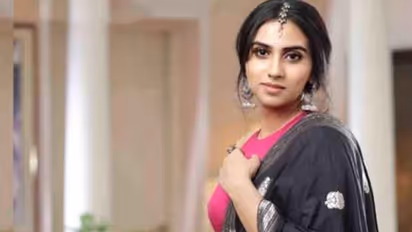 'ഇതെന്റെ മുഖത്ത് നോക്കി പറയാൻ ധൈര്യപ്പെടുമോ?, അശ്ലീല കമന്റിന് ചുട്ട മറുപടിയുമായി മാളവിക ജയറാം