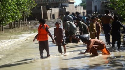 Government will consult allies: Pakistan minister on flood aid from India