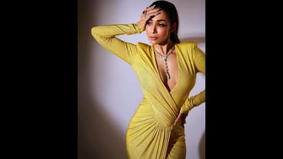 'ব্রা' ছাড়া লো নেক গাউনে উন্মুক্ত স্তনের অর্ধাংশ, হাই থাই স্লিটে হট পোজ দিতেই ট্রোলড মালাইকা