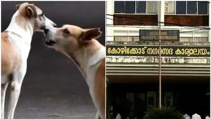 നായകളുടെ വന്ധ്യംകരണം:കർമപദ്ധതി ഉത്തരവിറക്കാതെ സർക്കാർ,വളർത്ത് നായക്കളുടെ ലൈസൻസ് പദ്ധതിയും പാളി