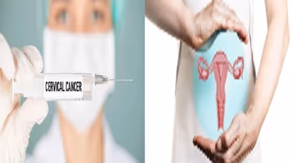 Cervical cancer: பெண்களே உஷார்: இந்த 6 அறிகுறிகள் இருந்தால் எச்சரிக்கையா இருங்கள்!