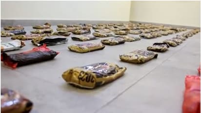 നൂറ് കിലോ ഹാഷിഷുമായി പ്രവാസി പിടിയില്‍; വില കോടികള്‍ 