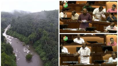 ബഫര്‍സോണ്‍:റിവ്യുഹർജി കേരളത്തിലെ കർഷകർക്ക് മേൽ ഇടിത്തീയാകുമെന്ന് പ്രതിപക്ഷം,'തെറ്റിദ്ധരിപ്പിക്കരുത് 'പി രാജീവ്