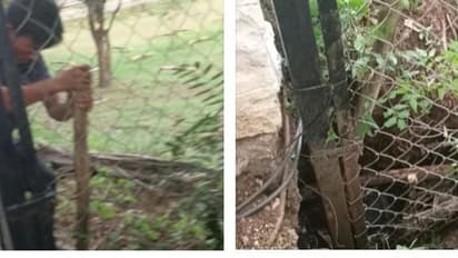 கோவை கல்லூரியில் துடிக்க, துடிக்க நாயை அடித்து கொன்ற ஊழியர்கள்...! வீடியோ வெளியாகி பரபரப்பு..