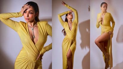 Malaika Arora: ഹോട്ട് ലുക്കിൽ മലൈക അറോറ; ഗൗണിന്റെ വില 3.66 ലക്ഷം രൂപ !