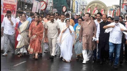 'যেমন করে পারেন আনন্দ করুন, আজ থেকে শুরু দুর্গা পুজো',  UNESCOর প্রতিনিধিদের সামনে বললেন মমতা 