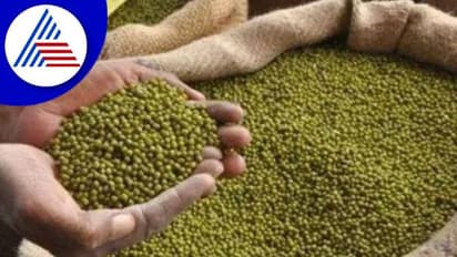 Koppala News: ಇಂದಿನಿಂದ ಹೆಸರು ಖರೀದಿ ಪ್ರಾರಂಭ