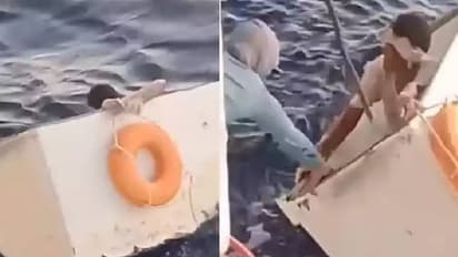 നടുക്കടലിൽ പെട്ടു, വെള്ളമോ ഭക്ഷണമോ ഇല്ലാതെ 11 ദിവസം കഴിഞ്ഞത് ഫ്രീസറിൽ