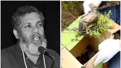 പക്ഷിക്കുഞ്ഞുങ്ങള് ചത്ത സംഭവം; 'സമയമെടുത്ത് ചെയ്യേണ്ട കാര്യങ്ങളായിരുന്നു'; സയന്റിസ്റ്റ് ഡോ. ടി വി സജീവ്
