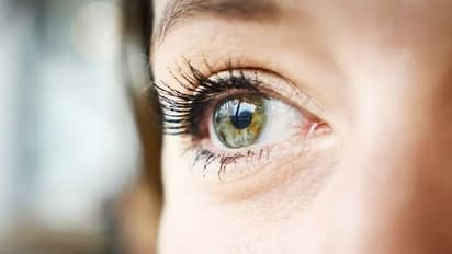 World Sight Day 2022 :  'നിങ്ങളുടെ കണ്ണുകളെ സ്നേഹിക്കുക';  ഇന്ന് ലോക കാഴ്ച ദിനം 