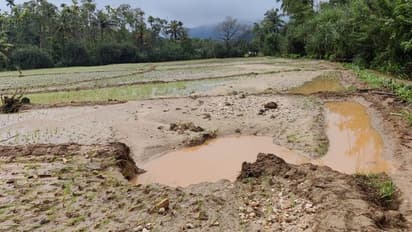 ಕಾಫಿನಾಡು ಜಿಲ್ಲೆಯಾದ್ಯಂತ ವರುಣನಬ್ಬರ: ಮಲೆನಾಡಿನಲ್ಲಿ ಅಪಾರ ಹಾನಿ