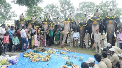 Mysuru: ದಸರಾ ಆನೆಗಳಿಗೆ ಚೌತಿ ಅಂಗವಾಗಿ ವಿಶೇಷ ಪೂಜೆ