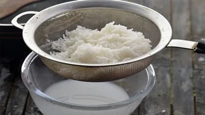 আসল বাসমতি চাল চিনতে চান! রইল খুব সহজ কিছু টোটকা