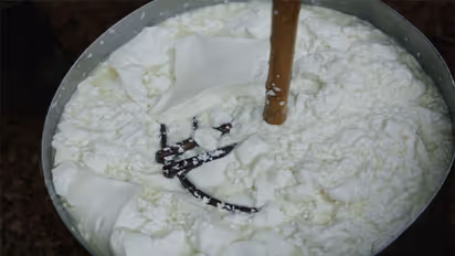 1-2 नहीं इन 10 फूड आइटम में पाया जाता है सबसे ज्यादा न्यूट्रिशन, जाने इन्हें खाने के फायदे