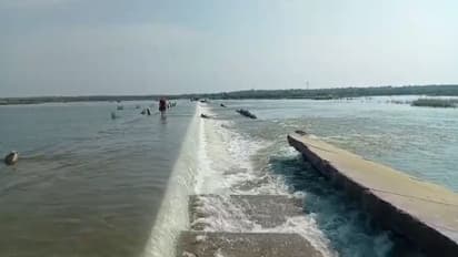 राजस्थान में यहां पूरी रात बारिश से हुए बुरे हाल, नदी में इतना पानी आया कि बह गई पुलिया