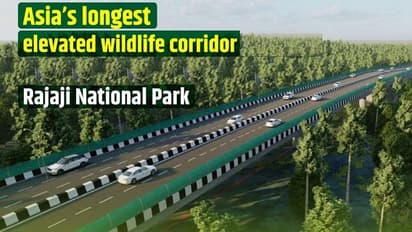 wildlife Corridor; ದೆಹಲಿ - ಡೆಹ್ರಡೂನ್ ಏಷ್ಯಾದ ಅತೀ ದೊಡ್ಡ ವನ್ಯಜೀವಿ ಹೆದ್ದಾರಿ ಶೀಘ್ರದಲ್ಲೇ ಲೋಕಾರ್ಪಣೆ!