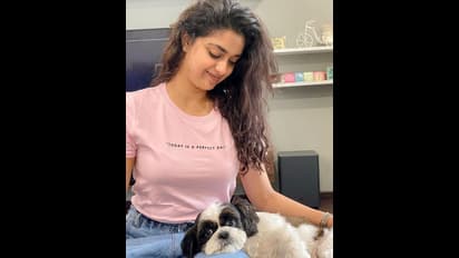 క్యూట్‌ అందాలతో ఫిదా చేస్తున్న కీర్తిసురేష్‌.. మేకప్‌ లేకుండా షాక్‌.. బెడ్‌పై పెట్‌ డాగ్‌తో చిలిపి పోజులు..