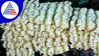 ಹಬ್ಬ ಹಬ್ಬ: ದಾಖಲೆ ದರದಲ್ಲಿ ಉಡುಪಿ ಮಲ್ಲಿಗೆ ಮಾರಾಟ