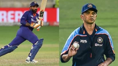 രവീന്ദ്ര ജഡേജയ്ക്ക് ടി20 ലോകകപ്പ് നഷ്ടമാകുമെന്ന വാര്ത്ത; കാത്തിരുന്ന അപ്ഡേറ്റുമായി രാഹുല് ദ്രാവിഡ്