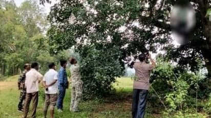 दुमका में एक और बेटी की हत्या: 15 साल की लड़की को प्रेग्नेंट कर मार डाला, फिर पेड़ से लटका दी लाश...