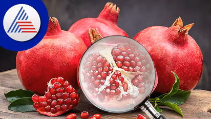 ಅರೆರೆ ದಾಳಿಂಬೆ, ನಿನ್ನ ಮಹಿಮೆ ಅಪಾರ! ತಜ್ಞರು ಕಂಡ ಸತ್ಯವಿದು