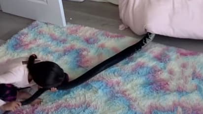 खतरनाक काले अजगर को पूंछ से पकड़कर खींच रही थी लड़की.. वीडियो में देखिए आगे क्या हुआ