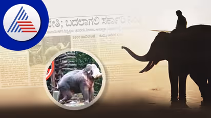 Elephant Training: ತರಬೇತುದಾರರ ಕೊರತೆ ನೀಗಿಸಲು ನಿವೃತ್ತರು ಸಿದ್ಧ