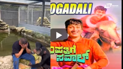 ಪ್ರಾಣಿಗಳೇ ಗುಣದಲ್ಲಿ ಮೇಲು: ಅಣ್ಣಾವ್ರ ಹಾಡನ್ನು ನೆನಪಿಸಿದ ಚಿಂಪಾಂಜಿ