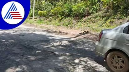 ಚಿಕ್ಕಮಗಳೂರು - ಮೂಡಿಗೆರೆ ರಾಷ್ಟ್ರೀಯ ಹೆದ್ದಾರಿ ದುಸ್ಥಿತಿ ಕೇಳೋರೇ ಇಲ್ಲ!