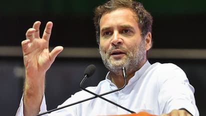 ಬ್ರಿಟಿಷರ ರೀತಿ ದೇಶದಲ್ಲಿ ಬಿಜೆಪಿ ಆಡಳಿತ: ರಾಹುಲ್ ಗಾಂಧಿ