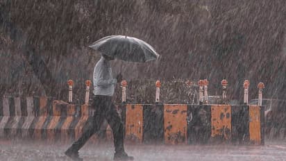 ಕೇರಳ, ಈಶಾನ್ಯಕ್ಕೆ ಒಟ್ಟಿಗೇ ಬಂದ ಮುಂಗಾರು: ಈ ವರ್ಷ ಮಳೆ ಹೇಗಿರಲಿದೆ?