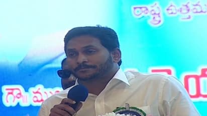 Cyclone Michaung : ఏపీలో తుఫాను భీభత్సం... రైతుల పరిస్థితి మరీ దయనీయం... సీఎం జగన్ భరోసా   