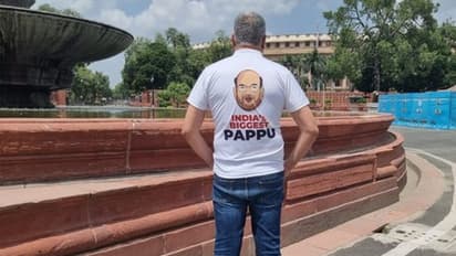 'ইন্ডিয়াস বিগেস্ট পাপ্পু' লেখা টি-শার্ট পরে সংসদে ডেরেক, অভিষেকের 'বাণী' তৃণমূলের নতুন স্লোগান