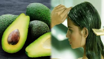 Hair Care: കരുത്തുറ്റ തലമുടിക്കായി  അവക്കാഡോ ഇങ്ങനെ ഉപയോഗിക്കാം...