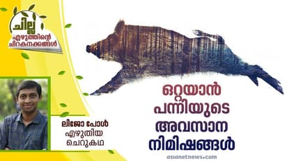Malayalam Short Story :  ഒറ്റയാന്‍ പന്നിയുടെ അവസാന നിമിഷങ്ങള്‍, ലിജോ പോള്‍ എഴുതിയ ചെറുകഥ