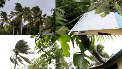 കൊല്ലത്ത് ശക്തമായ കാറ്റ്, വ്യാപക നാശം; ആര്യങ്കാവ് പാതയിൽ റെയിൽപ്പാളത്തിൽ മരം വീണു, തിരുവനന്തപുരത്ത് ഖനനനിരോധനം