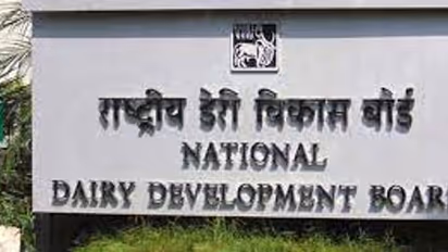 தேசிய பால்வள மேம்பாட்டு வாரியமான NDDB யில் வேலை.. இன்று தான் கடைசி நாள்.. உடனே விண்ணப்பிக்கவும்..