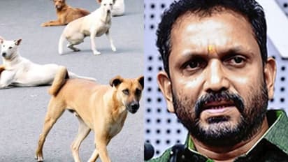 'പേവിഷ വാക്സിൻ ഗുണനിലവാരം പരിശോധിക്കണം,ജനങ്ങളെ കൊലക്ക് കൊടുക്കുന്ന സമീപനം സർക്കാർ ഉപേക്ഷിക്കണം': കെ.സുരേന്ദ്രൻ