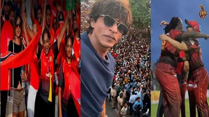 शाहरुख खान की Trinbago Knight Riders ने जीता खिताब, महिला कैरेबियन टीम की जीत पर किंग खान ने मनाया जमकर जश्न